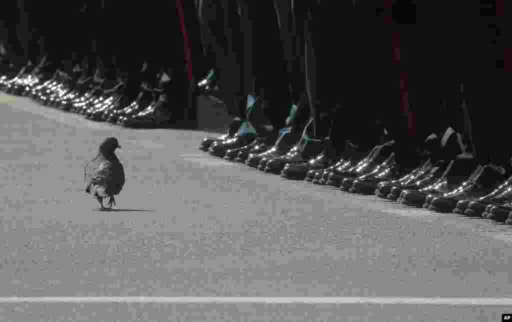 A pigeon walks in front of the ranks of soldiers during the Victory Day military parade in St. Petersburg, Russia.