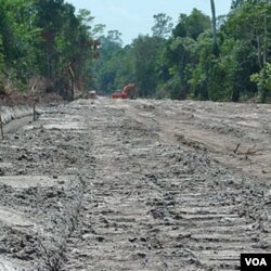 Penggaruan tanah di tengah hutan lebat di wilayah yang akan ditanami pepohonan oleh PT KAL di propinsi Kalimantan Barat.