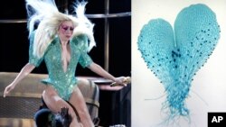 Ca sĩ Lady Gaga tại lễ trao giải Grammy 2012, bên phải là loại dương xỉ mới tìm thấy