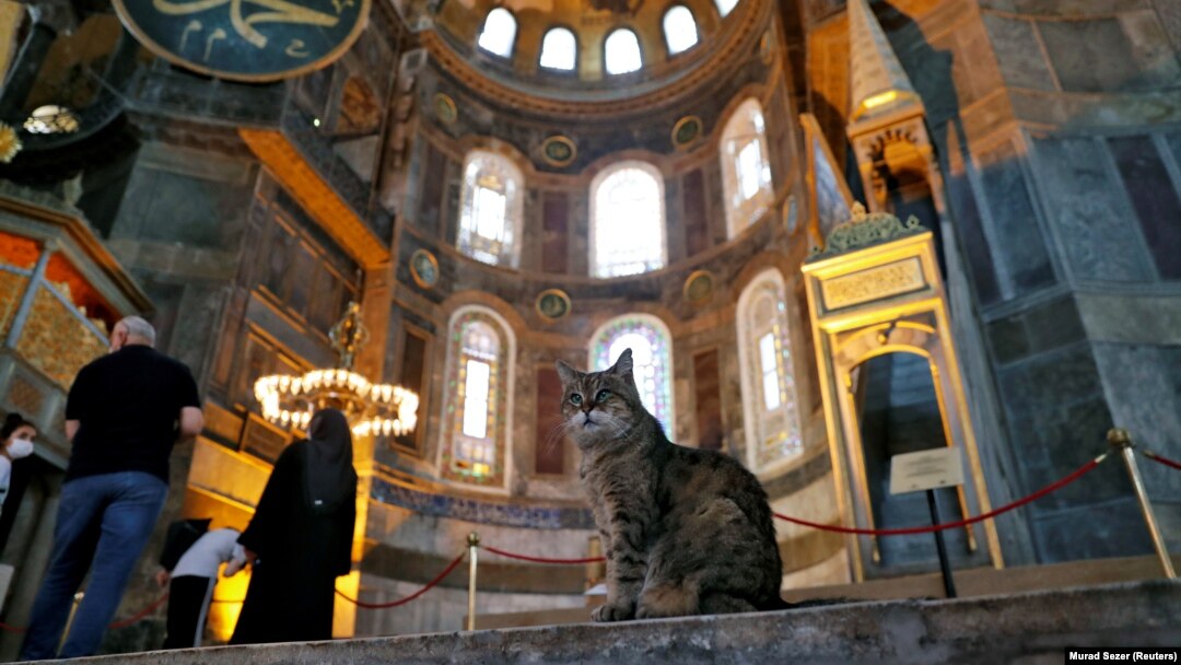 Meski Menjadi Masjid, Gli Si Kucing Penunggu Tetap Boleh Tinggal 