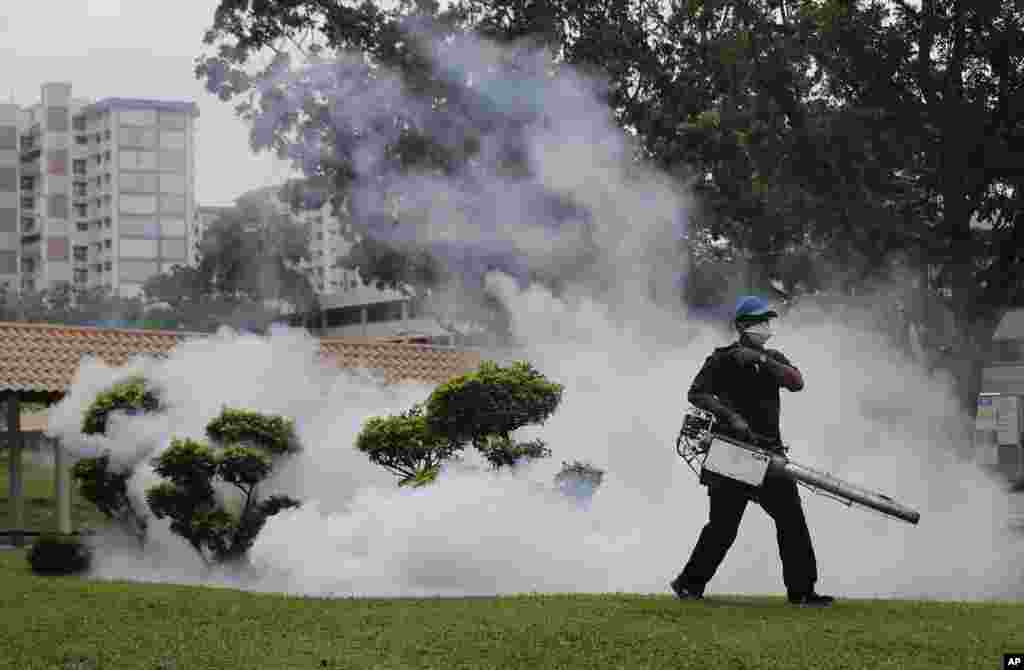 A pest control worker fumigates drains and the gardens at a local housing estate where the latest case of Zika infections were reported in Singapore.