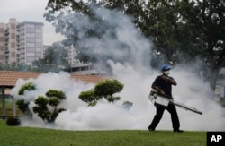 A pest control worker fumigates drains and the gardens at a local housing estate where the latest case of Zika infections were reported, Sept. 1, 2016, in Singapore.