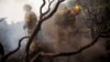Сан-Франциско: лесные пожары угрожают городским электросетям
