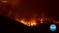 'Lucifer' Heat Wave Scorches Mediterranean; Dozens Die in Wildfires 