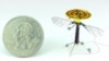 จิ๋วแต่แจ๋ว! นักวิจัยฮาร์วาร์ดพัฒนา "โดรนผึ้งกล" บินเกาะได้เหมือนแมลงเพื่อประหยัดพลังงาน