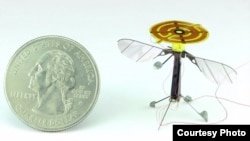 A RoboBee is seen next to a quarter. The static electric electrode is seen on the top of the tiny drone. (AAAS)