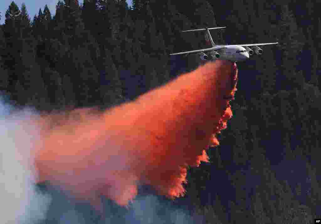 Sebuah pesawat menjatuhkan cairan pemadam kebakaran di atas hutan di Pollack Pines, California.