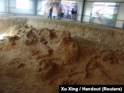 One of the four quarries producing fossils of Lingwulong, a newly discovered dinosaur unearthed in northwestern China is seen in this image provided July 24, 2018.