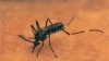 Promising Mosquito Repellent Announced