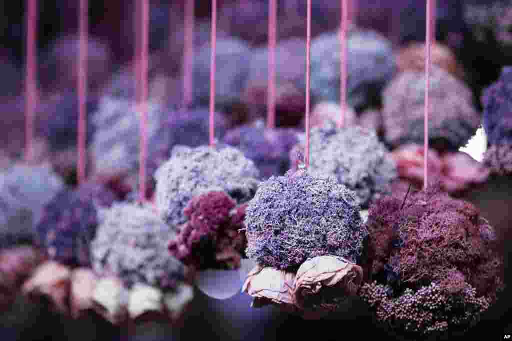 Dried flowers hang from strings during a preview of the Philadelphia Flower Show at the Pennsylvania Convention Center in Philadelphia. The theme of this year's floral festival is "Holland: Flowering the World" and it is scheduled to run March 11-March 19. 