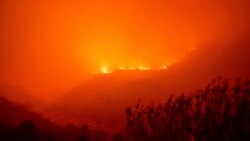 14 Eylül 2021 - California'da orman yangınları Ulusal Sekoya Parkı'na kadar ulaştı
