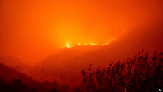 14 Eylül 2021 - California'da orman yangınları Ulusal Sekoya Parkı'na kadar ulaştı