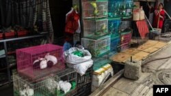 This photo taken on April 16, 2019 shows a shopkeeper opening her shop which sells wildlife and animal products in Panghsang in eastern Shan State, Myanmar. 