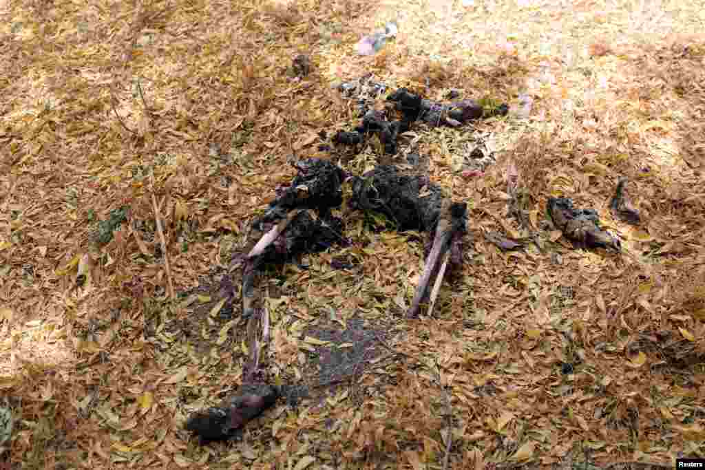 Des feuilles couvrent le cadavre d&#39;un homme qui, selon les soldats nigérians, a été brûlé vif par des militants de Boko Haram dans Damasak, le 24 mars 2015.