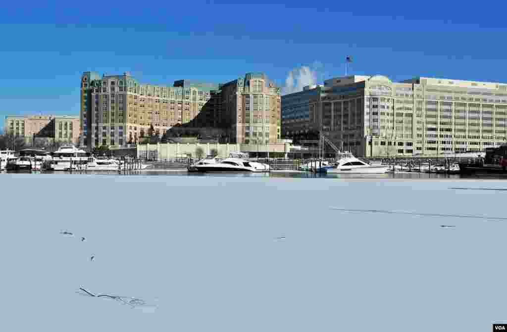 Potomac Snow