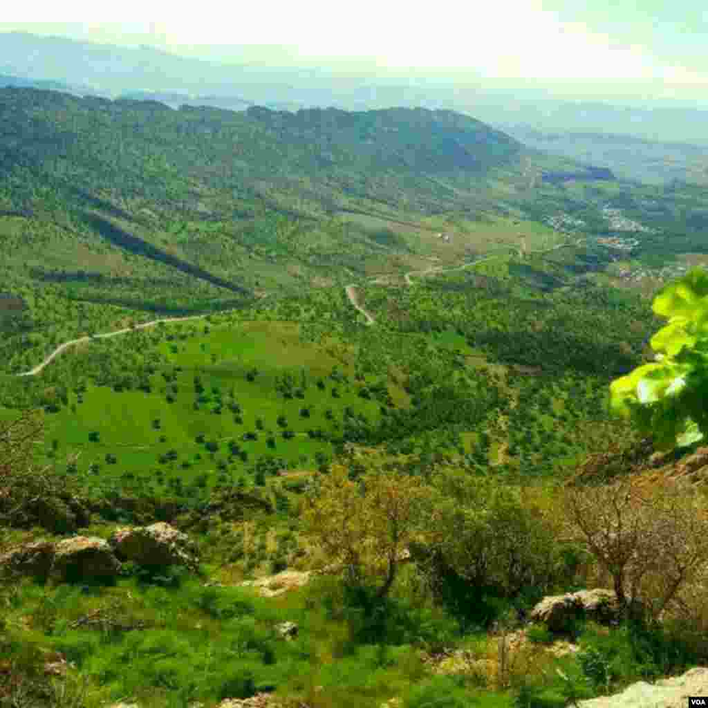 کرمانشاه- ریجاب عکس: یاسر (ارسالی شما)