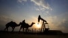 OPEP prevé sólida demanda petrolera en 2017
