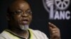 S. Africa's ANC Chairman Backs Seizing Land from People with Over 12,000 Hectares