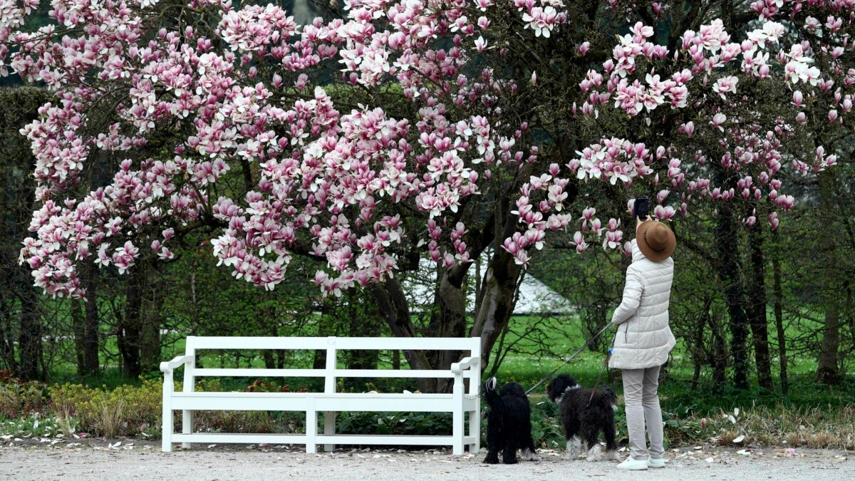 Why You're Sneezing: The Most Beautiful Flowers in Bloom This Spring