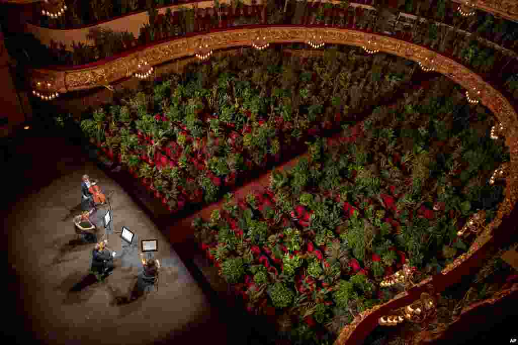 Musicians prepare for a show the Gran Teatre del Liceu in Barcelona, Spain.