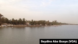 Le fleuve Casamance, au Sénégal, le 21 février 2018. (VOA/Seydina Aba Gueye)