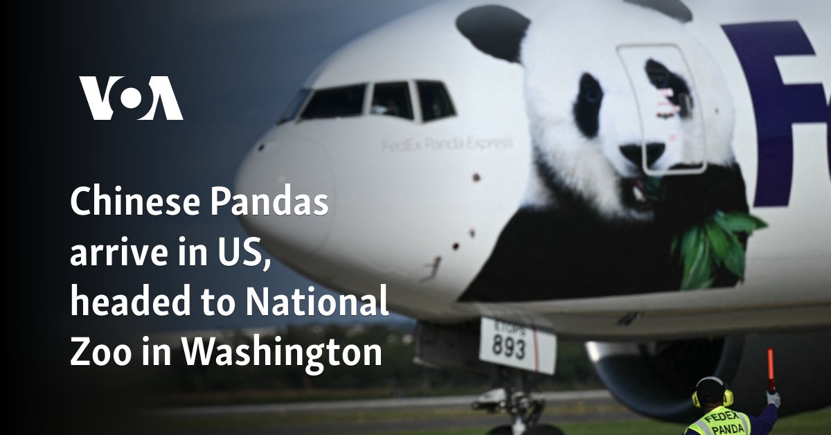 Chinese Pandas arrive in US, headed to National Zoo in Washington