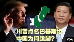Tổng thống Mỹ Donald Trump và Chủ tịch Trung Quốc Tập Cận Bình 