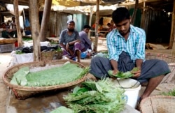 Penjual daun sirih di pasar kamp pengungsi Rohingya di Kutupalong, 31 Maret 2019. (Foto: dok).