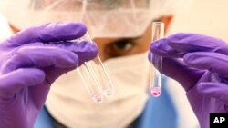 Pruebas de ADN hechas a restos de víctimas de las pandemias han arrojado nuevos datos sobre las pandemias de otros siglos.