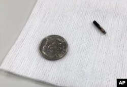 A microchip is shown compared with a dime, Aug. 1, 2017, at Three Square Market in River Falls, Wis., where the company held a "chip party" for employees who volunteered to have the microchip embedded in their hands.