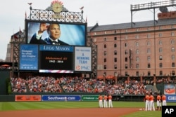 Para anggota tim bisbol Baltimore Orioles mengheningkan cipta untuk Muhammad Ali sebelum pertandingan melawan New York Yankees di Baltimore, 4 Juni 2016.