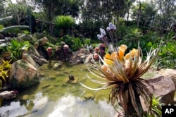 In this Saturday, April 29, 2017 photo, landscaping consisting of real Earth plant species mixed with sculpted Pandora flora surrounds a pond at the Pandora-World of Avatar land attraction in Disney's Animal Kingdom theme park at Walt Disney World.