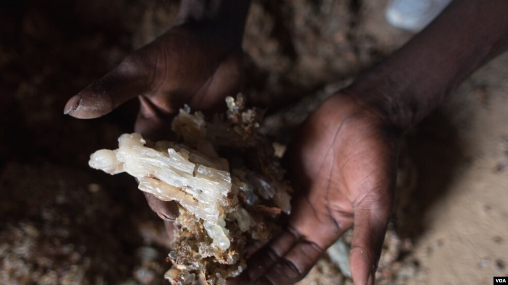 Somaliland's frankincense industry is threatened by high demand.