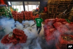 In this Jan. 28, 2016 photo, a Health Ministry worker in Managua, Nicaragua sprays chemicals to kill mosquitoes that transmit the Zika virus..