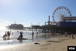 The ferris wheel on the Santa Monica Pier