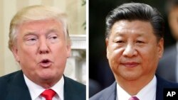 도널드 트럼프 미국 대통령과 시진핑 중국 국가주석. 