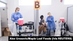 Seorang pekerja perusahaan Maple Leaf Food sedang diimunisasi vaksin virus corona (COVID-19) di pabriknya di Brampton, Ontario, Kanada, Rabu, 28 April 2021. (Foto: Alex Urosevic/Maple Leaf Foods via Reuters) 