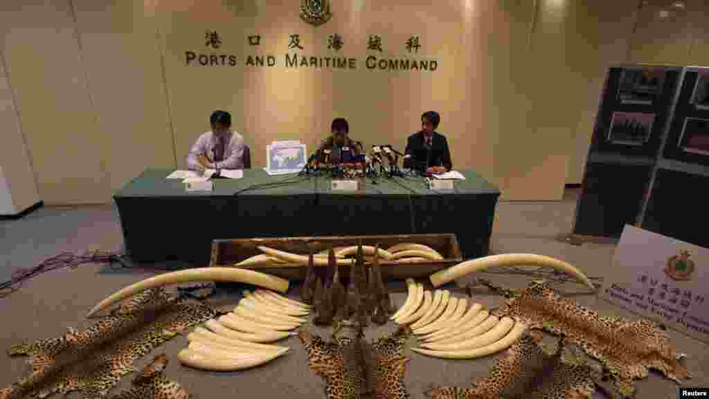 Jami'an kwastan din Hong Kong ranar Talatan nan sun cafke hakoran giwa da nauyinsu ya kai kilo 1,120 da hakoran mugun dawa 13 da fatun damisa 5 dukansu nauyinsu ya kai kilo 2,266 a cikin wani akwati duk daga Najeriya zuwa kasar Hong Kong.
