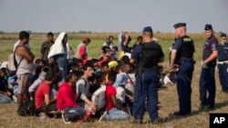 Des réfugiés surveillés par la police hongroise après avoir traversé la frontière de Serbie, à Roszke, Hongrie, 27 août 2015. 