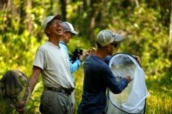 Nick Haddad, left, watches a captive-bred female St. Francis' satyr butterfly fly off after it was released into the wild at Fort Bragg in North Carolina on Monday, July 29, 2019. Haddad has been studying the rare butterfly for more than 15 years. (AP Photo/Robert F. Bukaty)