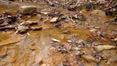 Polluted Streams