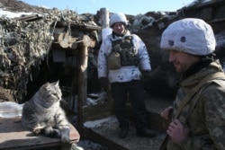 FILE - Ukrainian servicemen look at a cat, on the front line with Russia-backed separatists in Donetsk region, Feb. 16, 2021.