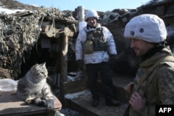 FILE - Ukrainian servicemen look at a cat, on the front line with Russia-backed separatists in Donetsk region, Feb. 16, 2021.