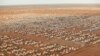 Le Kenya débloque 10 millions de dollars pour fermer le camp de réfugiés de Dadaab
