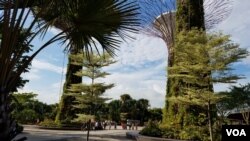 김정은 위원장이 방문한 가든바이더베이. 싱가포르는 1990년부터 ‘싱가포르 녹색계획’을 추진하고 ‘클린 앤 그린 싱가포르’ 환경운동을 펼치며 국민들에게 환경 의식을 제고해 왔다.