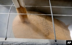 FILE - Soybeans are loaded into a trailer at the Heartland Co-op, April 5, 2018, in Redfield, Iowa.