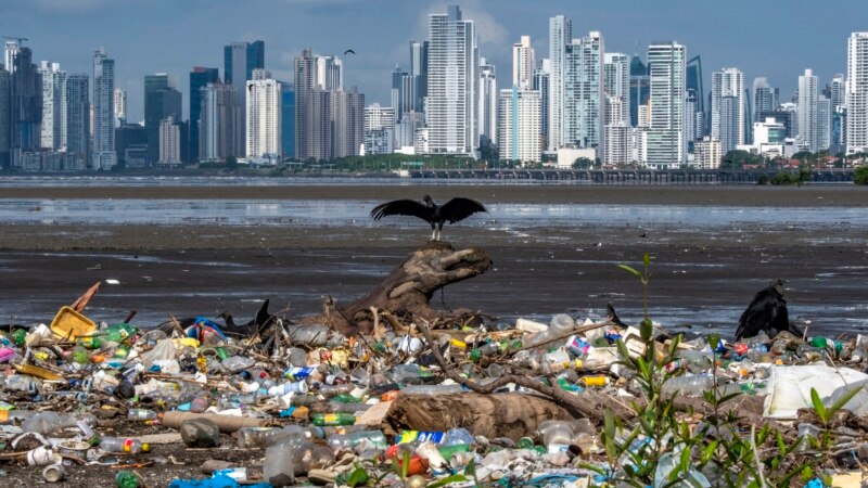 Study: Plastic Pollution Flowing into Oceans to Triple by 2040