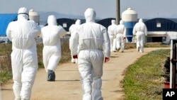 Nhân viên y tế trong quần áo bảo hộ đến một trại nuôi gà nơi virus cúm gia cầm được phát hiện tại Jeongeup, Hàn Quốc, ảnh chụp ngày 8/4/2008. 