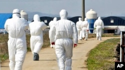 FILE - Health officials in protective suites arrive at a poultry farm where the bird flu virus was found in Jeongeup, South Korea, April 8, 2008. 