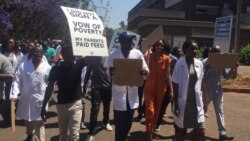 Zimbabwe Doctors Open to Dialogue, But Defy Disciplinary Hearing